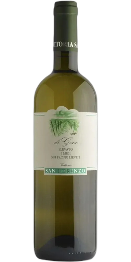 Fattoria San Lorenzo Di Gino Bianco elevato 6 mesi sui propri lieviti Marche IGT