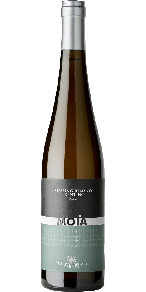 Cantina di Trento Moia Riesling Renano Trentino DOC