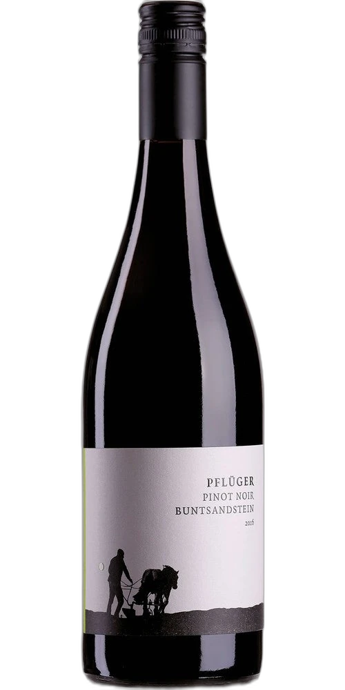 Weingut Pfluger Palatinate Pinot Noir Vom Buntsandstein