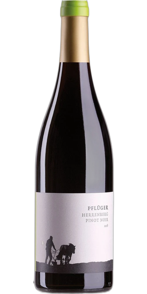 Weingut Pfluger Ungsteiner Herrenberg Palatinate Pinot Noir
