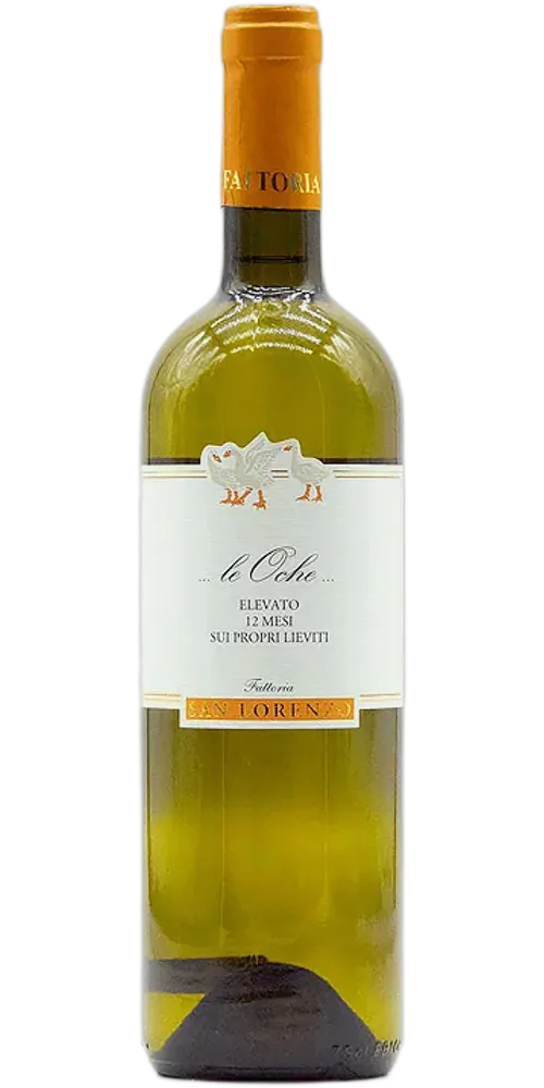 Fattoria San Lorenzo Le Oche Verdicchio Superiore di Jesi elevato 12 mesi sui propri lieviti Marche IGT