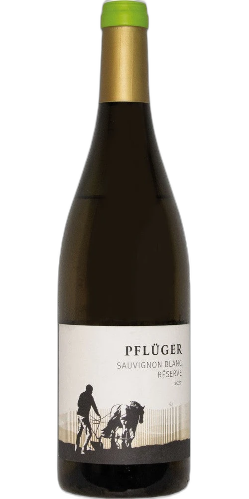 Weingut Pfluger Palatinate Sauvignon Blanc Reserve