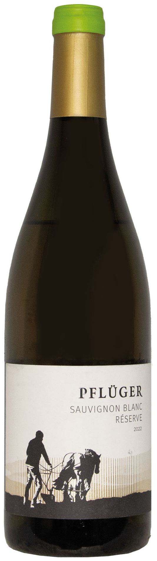 Weingut Pfluger Palatinate Sauvignon Blanc Reserve